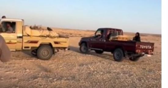 العثور على سيدة بالطريق الصحراوي بمطروح.. والداخلية تسلمها لأسرتها