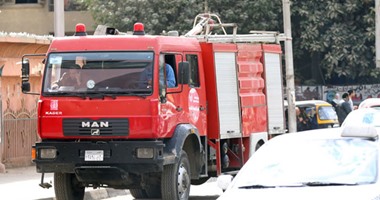 الدفاع المدنى بالوادى الجديد يسيطر على حريق بمزرعة نخيل فى مركز باريس