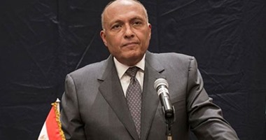 وزير الخارجية: اتفاق إعلان المبادئ يضمن حق مصر فى مياه النيل