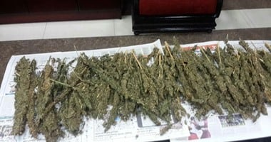 تجديد حبس 4 مسجلين خطر 15 يوما لاتهامهم بالاتجار فى المخدرات بالخليفة