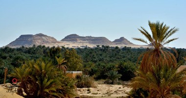 فريق "لايونز" يطلق رحلة سفارى لواحة سيوة