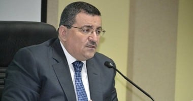 أسامة هيكل: مهاجمو "فى حب مصر" تهافتوا على القائمة قبل استبعادهم