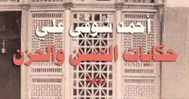 اقرأ معنا.. فصل من رواية "حكايات الحسن والحزن" لـ أحمد شوقى على 