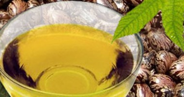 الخروع وبذور الجزر موانع حمل طبيعية.. تعرفى على 9 موانع طبية