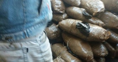سقوط عامل بحوزته 22 لفافة بانجو فى حملة تفتيشية بأسوان