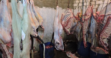 ضبط مجزر غير مرخص لذبح المواشى بالمنيا