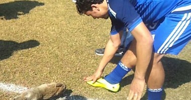 بالصور.. ذبح "أرنب" لفك النحس فى شربين