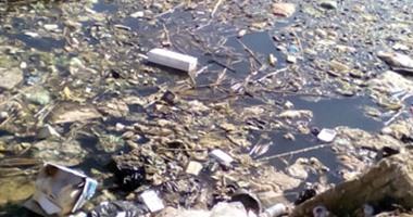 بالصور.. أكوام القمامة والمخلفات الصلبة تملئ مصرف قرية تلبنت بالمنوفية