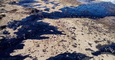 محميات البحر الأحمر: تم رفع بصمة بقعة الزيت بغارب وإرسالها لمعامل السويس