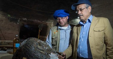 بالصور.. البعثات الدولية تواصل البحث عن الاكتشافات الأثرية بأسوان