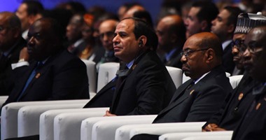 السيسى يبحث مع الرئيس النيجيرى الاستثمار والأوضاع فى ليبيا