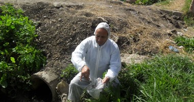 بالصور.. بدء حملة مكافحة البعوض والحشرات الناقلة للأمراض بفوه فى كفر الشيخ