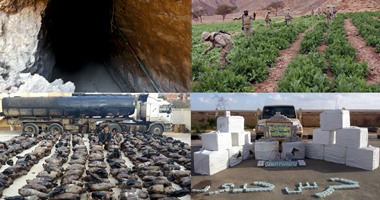 بالفيديو.. الداخلية تبيد 10 أفدنة مخدرات وتضبط 10 أطنان بانجو بجنوب سيناء
