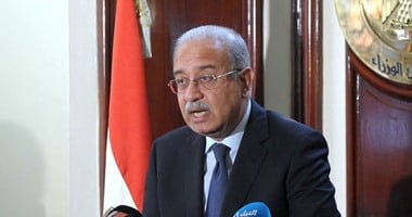 رئيس الوزراء يصدر قراراً بتخصيص قطع أراضى للمنفعة العامة