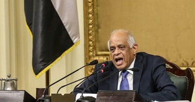 على عبد العال: توسيع تشكيل اللجنة العامة للمجلس يعرقل عملها