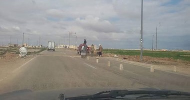 لأول مرة منذ 40 عاما.. الحكومة:خطة عاجلة لتنمية المناطق الحدودية بمطروح بعد ارتفاع الزراعات المطرية لـ800ألف فدان.. زيادة رؤوس الأغنام لـ850ألفا على المراعى.. وآبار لتخزين المياه واستصلاح 370 ألف فدان