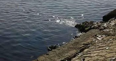 رئيس شركة "صرف القاهرة": نحتاج لـ150 مليون جنيه لإحلال وتجديد شبكات الصرف الصحى لمنع غرق "العاصمة".. هناك خطوطا عمرها 100 عام.. والمهندس منصور بدوى يعلن البدء فى تطوير خط طرد شارع كمال حجاب