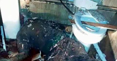 ننشر أول صور لجثث أعضاء الخلية الإرهابية بالمعادى