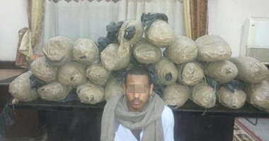 ضبط عامل بحوزته 60 كيلو بانجو قبل ترويجها على عملائه بقنا