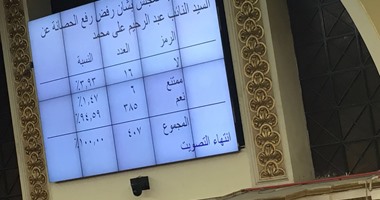 مجلس النواب يقرر رفض طلب رفع الحصانة عن النائب عبد الرحيم على