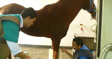 "طب بيطرى" بنها تبدأ دورات حول استخدامات الأشعة السينية والموجات فوق الصوتية