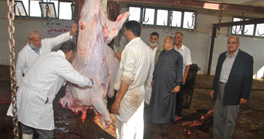 "بيطرى المنوفية": فتح 44 مجزرًا بعيد الأضحى مجانا.. وغرفة عمليات بكل إدارة
