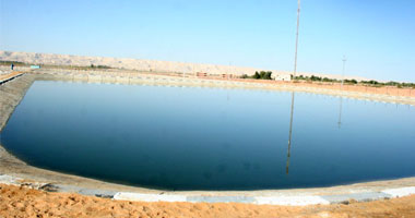 مؤسسة التنمية المستدامة بالوادى الجديد تتضرر من ارتفاع سعر الكهرباء 