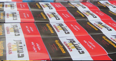 أستاذ الاجتماع السياسى: الدستور الجديد جيد فى مجمله ويحترم دور المرأة