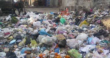 رفع 72 طن قمامة ومخلفات من شوارع العامرية بالإسكندرية