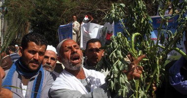 مبروك علوة يكتب: بحب بلدى