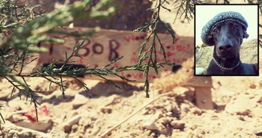 بالصور.. "هشام" كفّن كلبه "بوب" ودفنه فى قبر على البحر