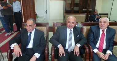 أمن الشرقية: العناية الإلهية أنقذت قرية الصوة من حريق بعد نشر أبراج كهرباء