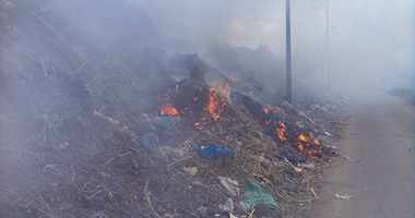 الحماية المدنية تسيطر على حريق بمخلفات وأشجار بمنطقة العباسية