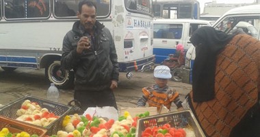 أحمر أخضر أزرق.. عم نبيل رزقه فى تلوين الكتاكيت