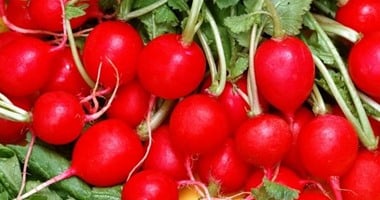 فوائد الفجل لصحة الجسم والبشرة والشعر