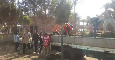 مناشدة بتطوير مساكن الكهرباء خلف قسم التجمع الأول لعدم تحولها لعشوائيات