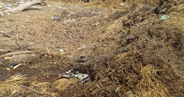 بالصور.. تلال من روث المواشى فى طرقات عزبة شاهين بالبحيرة