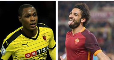 نجم نيجيريا: إذا كانت مصر لديها محمد صلاح فنحن نمتلك إيجالو