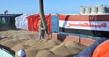 ميناء دمياط يستقبل 12 سفينة حاويات وبضائع خلال 24 ساعة