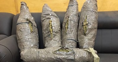 سقوط عاطلين بحوزتهما 2 كيلو بانجو فى الغربية