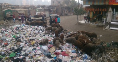 بالصور.. انتشار القمامة أسفل الطريق الدائرى بـ"سلم الفيلا"