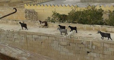 اليوم.. سياحة "النواب" تناقش خطة الوزارة لتنشيط السياحة الخارجية لمدينة رشيد