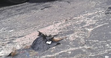 صحافة المواطن.. شكوى من رصف شارع الجمهورية فى ههيا دون إزالة الطبقة القديمة