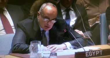 مصر: تبنى مجلس الأمن إدانة الاستيطان يؤكد عدم جواز ضم أراض بالقوة المسلحة