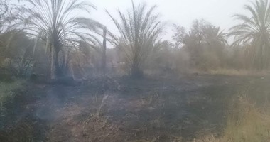 السيطرة على حريق التهم 3 أفدنة من النخيل بمدينة موط بالداخلة