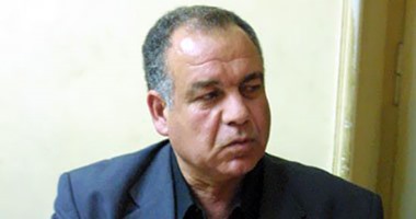 "الاشتراكى المصرى": الأحزاب السياسية تعانى من حالة تشرذم