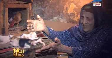 بالفيديو.. نوع خاص من الأمومة.."أم توحة" تتبنى القطط وترعى طفلا "لقيطا"