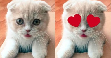 تويتر تعلن الحرب على سناب شات بإضافة "ستيكرات" جديدة للصور