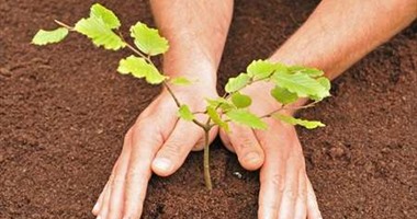 حملات عالمية يحتاجها المصريون.. يوم بدون سيارات وساعة من غير كهرباء الأبرز