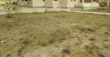 صحافة المواطن: قارئ يشكو من عدم الاهتمام بالمساحات الخضراء فى الشيخ زايد